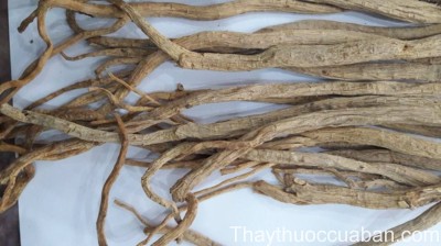 H&igrave;nh ảnh vị thuốc đẳng s&acirc;m